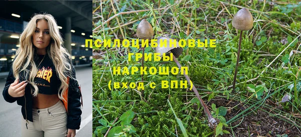 ешки Осташков