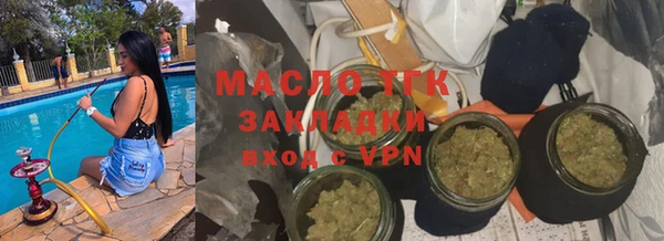 индика Няндома